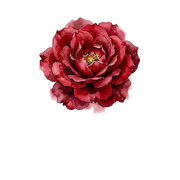Rose Absolute fragrance note icon
