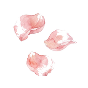 Rose Petals fragrance note icon