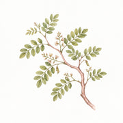 Rosewood note