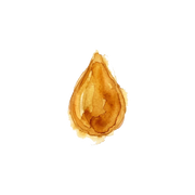 Siam Benzoin fragrance note icon