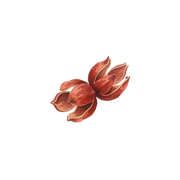 Sichuan Pepper fragrance note icon