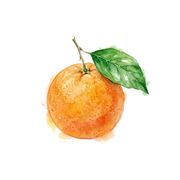 Sicilian Orange fragrance note icon