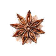 Star Anise fragrance note icon