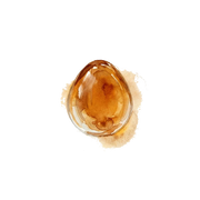 Styrax fragrance note icon