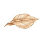 Suede fragrance note icon