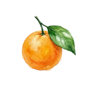 Sweet Orange fragrance note icon