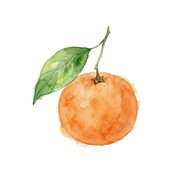 Tangerine fragrance note icon