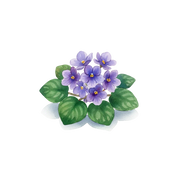 Violet fragrance note icon