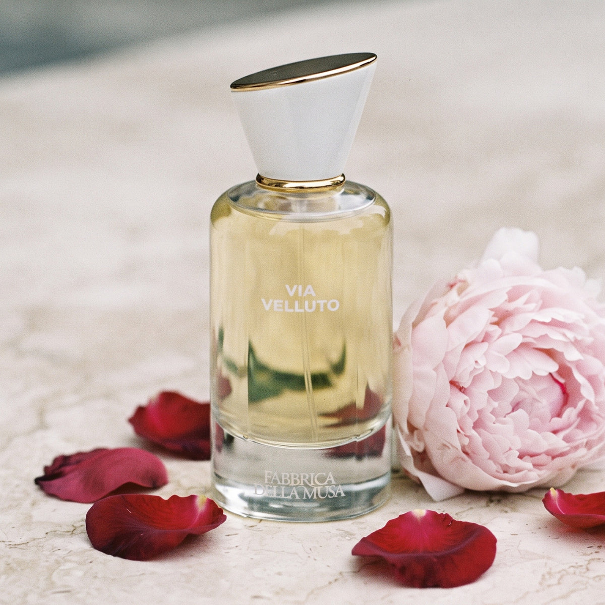 Fabbrica Della Musa Via Velluto EDP on pale stone with a pink peony and rose petals