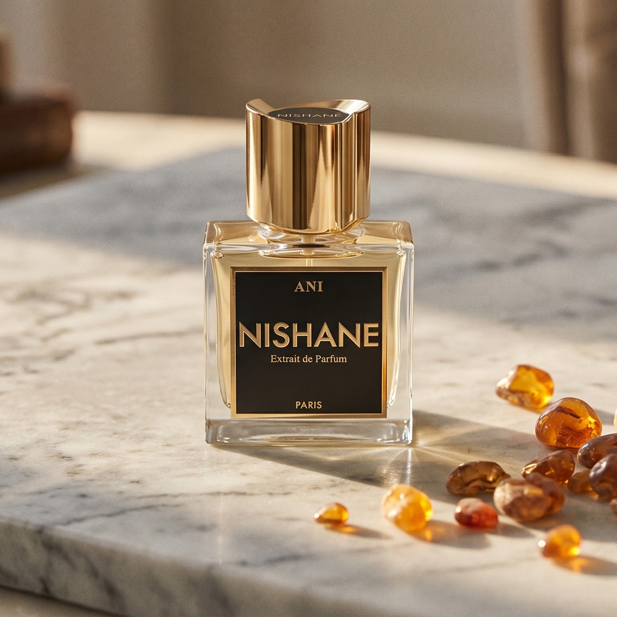 Nishane Ani Extrait de Parfum 100ml | Parfum Central
