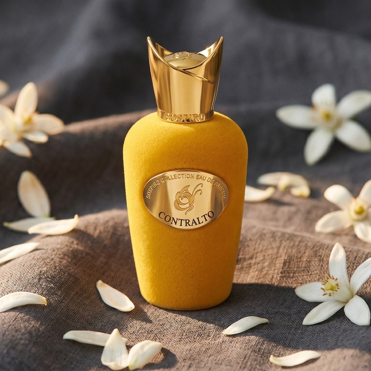 Sospiro Contralto EDP on charcoal linen with orange-blossom petals
